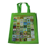 资阳LB11覆膜无纺布广告袋